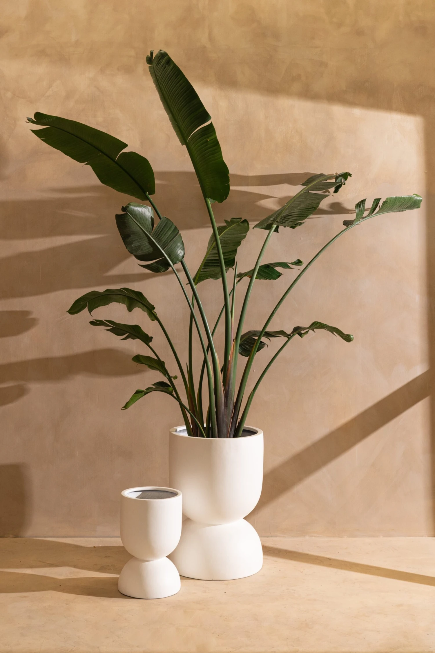 Grace Pot 2 Grace Pot - Image 2