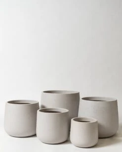 Caladenia Pot -Waldecks Store caladeniasandstone