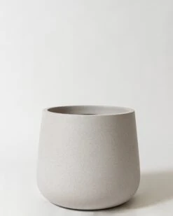 Caladenia Pot -Waldecks Store caladeniasandstone3of5