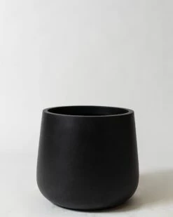 Caladenia Pot -Waldecks Store caladenilavatext3of5