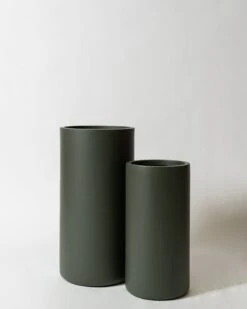 Casuarina Pot -Waldecks Store cassurinaarti