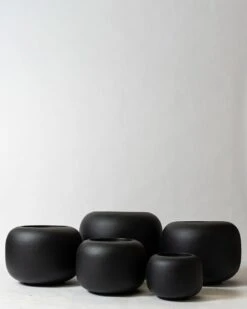 Correa Pot -Waldecks Store corealava