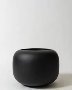 Correa Pot -Waldecks Store corealava3of5