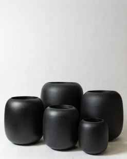 Tall Correa Pot -Waldecks Store coreatalllava