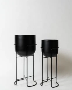 Karkalla Tall Stand -Waldecks Store karkallablkset