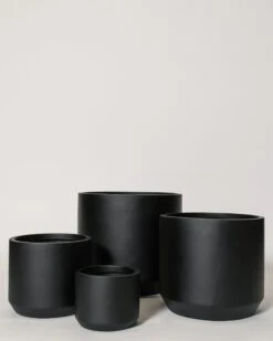 Kurrajong Pot -Waldecks Store kkurrajong