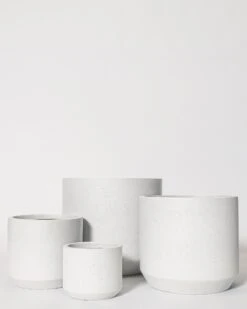 Kurrajong Pot -Waldecks Store kurajong checks 2