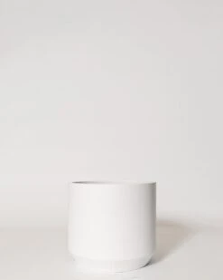 Kurrajong Pot -Waldecks Store kurrajong1of4