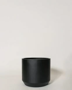 Kurrajong Pot -Waldecks Store kurrajong1of4 271eb520 6c5a 4ee8 aa10 fdb02f825806