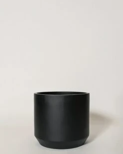 Kurrajong Pot -Waldecks Store kurrajong2of4