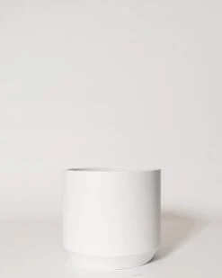 Kurrajong Pot -Waldecks Store kurrajong2of4 687393ee 4f89 48ba 8ab8 da69da95ab99