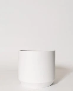 Kurrajong Pot -Waldecks Store kurrajong3of4