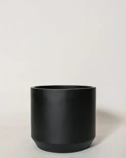 Kurrajong Pot -Waldecks Store kurrajong3of4 ccf2b8a5 3af0 4fab 8c70 18bb02cfed44