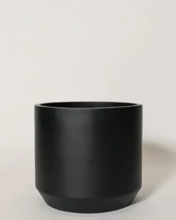 Kurrajong Pot -Waldecks Store kurrajong4of4