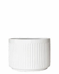 Olivia Pot -Waldecks Store largewhite