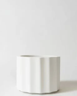 Lilly Pot 22 Lilly Pot -Waldecks Store lilly shrt lrg wht