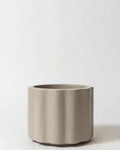 Lilly Pot 30 Lilly Pot -Waldecks Store lillyshrtlrgfossil