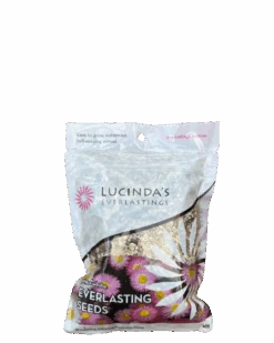 Everlastings Seeds - Pink + White