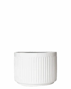 Olivia Pot -Waldecks Store mediumwhite