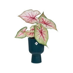 Elho Vibes Fold Coupe -Waldecks Store vibesfoldcoupedeepblue 3