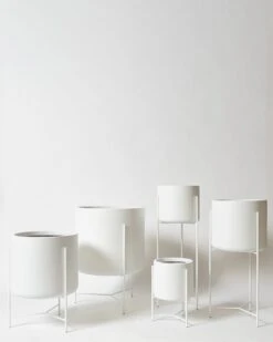 Waratah Stand -Waldecks Store waratuhwhite 8c639b8c 3fbe 4400 b79c 77f79f9c57bc