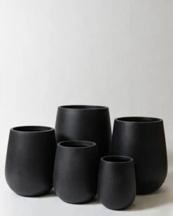 Westringia Pot -Waldecks Store westlava