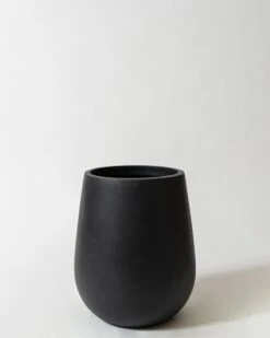 Westringia Pot -Waldecks Store westlava3of5