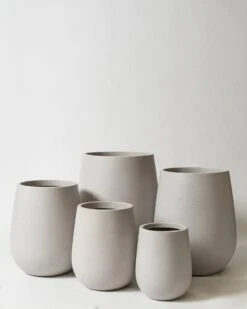 Westringia Pot -Waldecks Store westsandstonetext