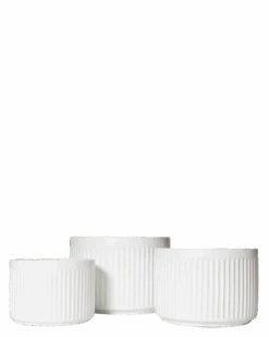 Olivia Pot -Waldecks Store whitecluster